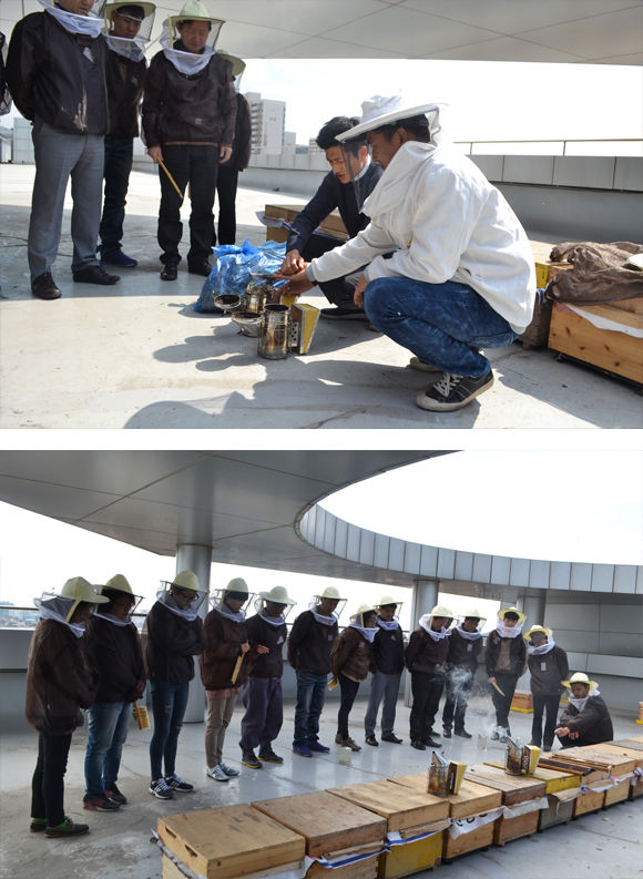 Bee Happy 도시양봉가 되기 2번 이미지