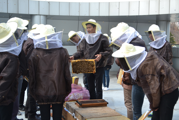 Bee Happy 도시양봉가 되기 4번 이미지