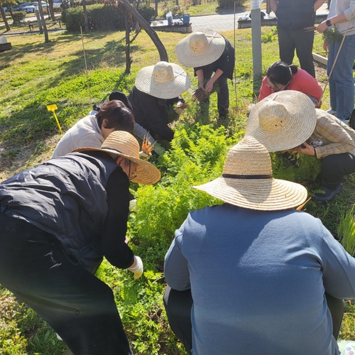 [모두의숲] 도시농부워크숍:텃밭의 가을과 겨울2 메인 이미지