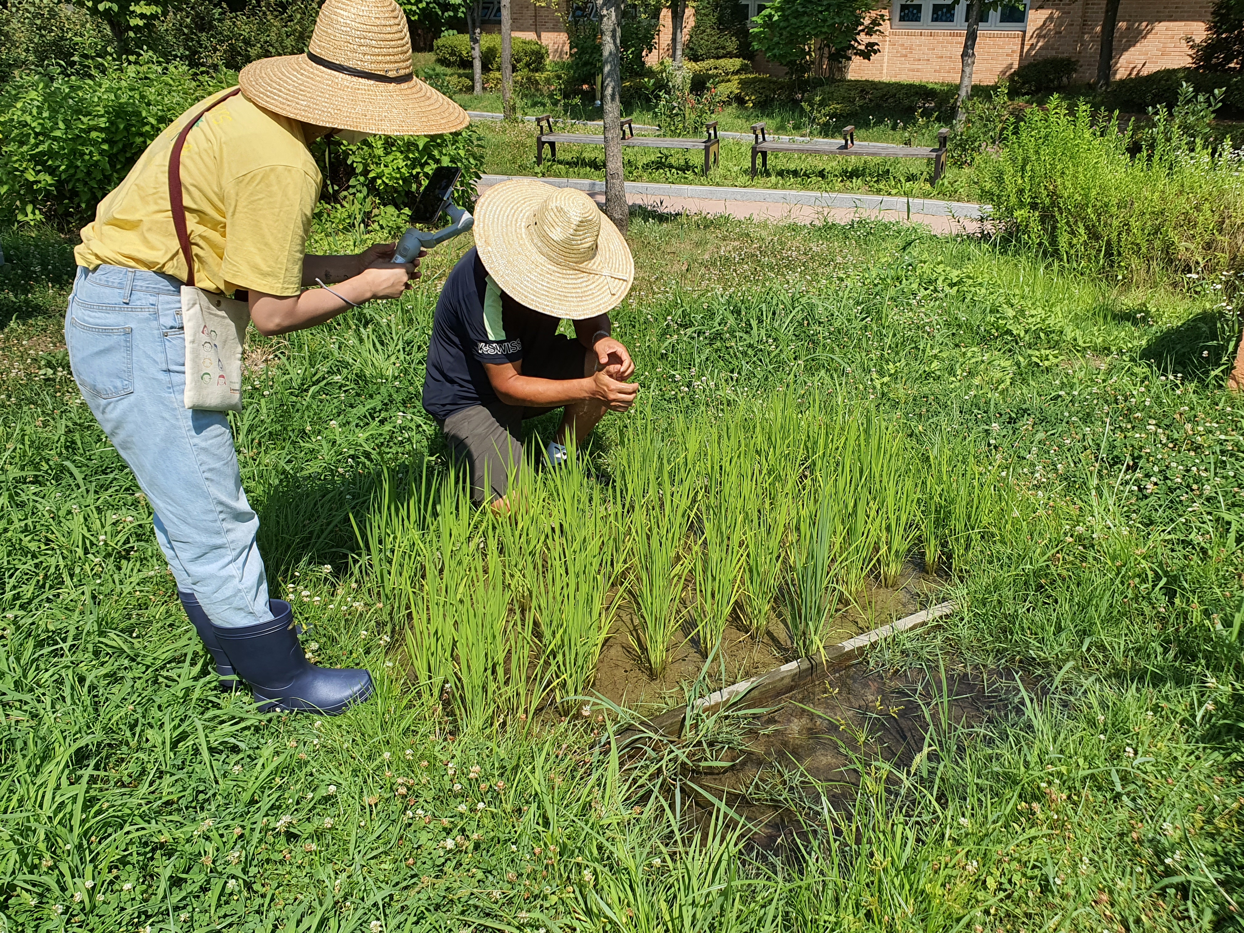 모두의숲 도시농부워크숍 : 계절을 이어가는 여름 2021 여름학기(21.7.27) 메인 이미지