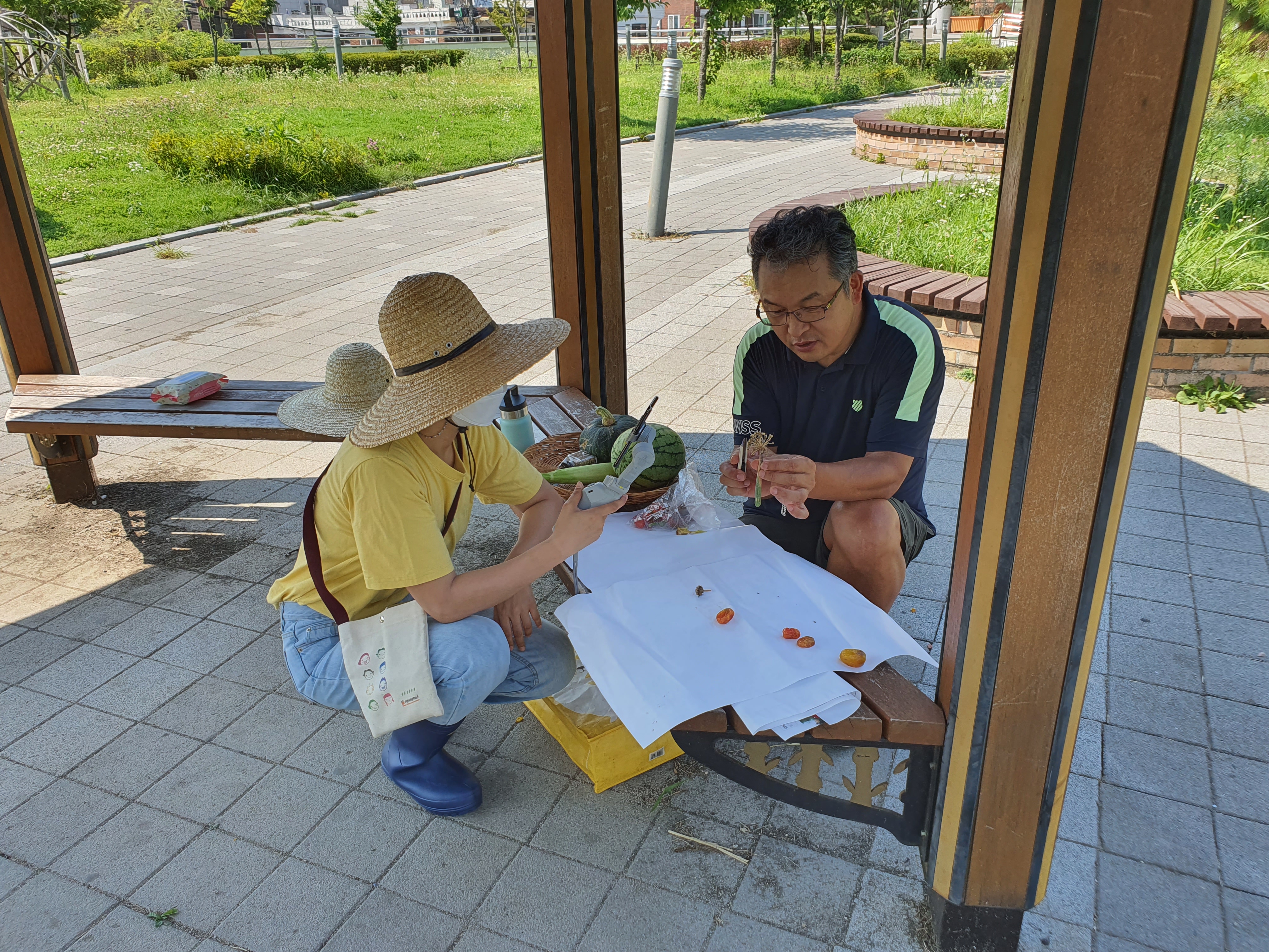 모두의숲 도시농부워크숍 : 계절을 이어가는 여름 2021 여름학기(21.7.27) 2번 이미지
