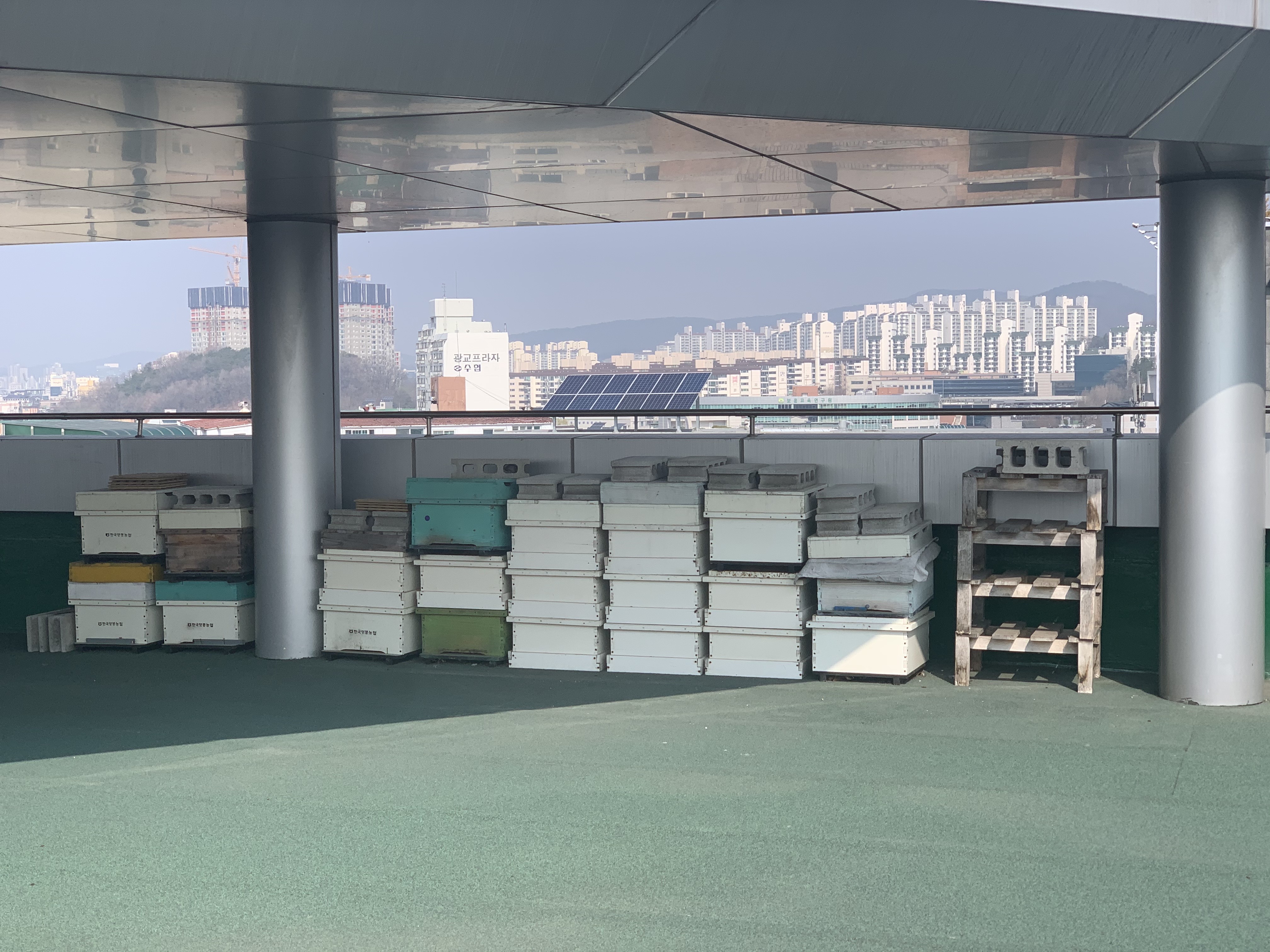 공존하는 도시양봉가 첫활동 (2021.03.25) 메인 이미지