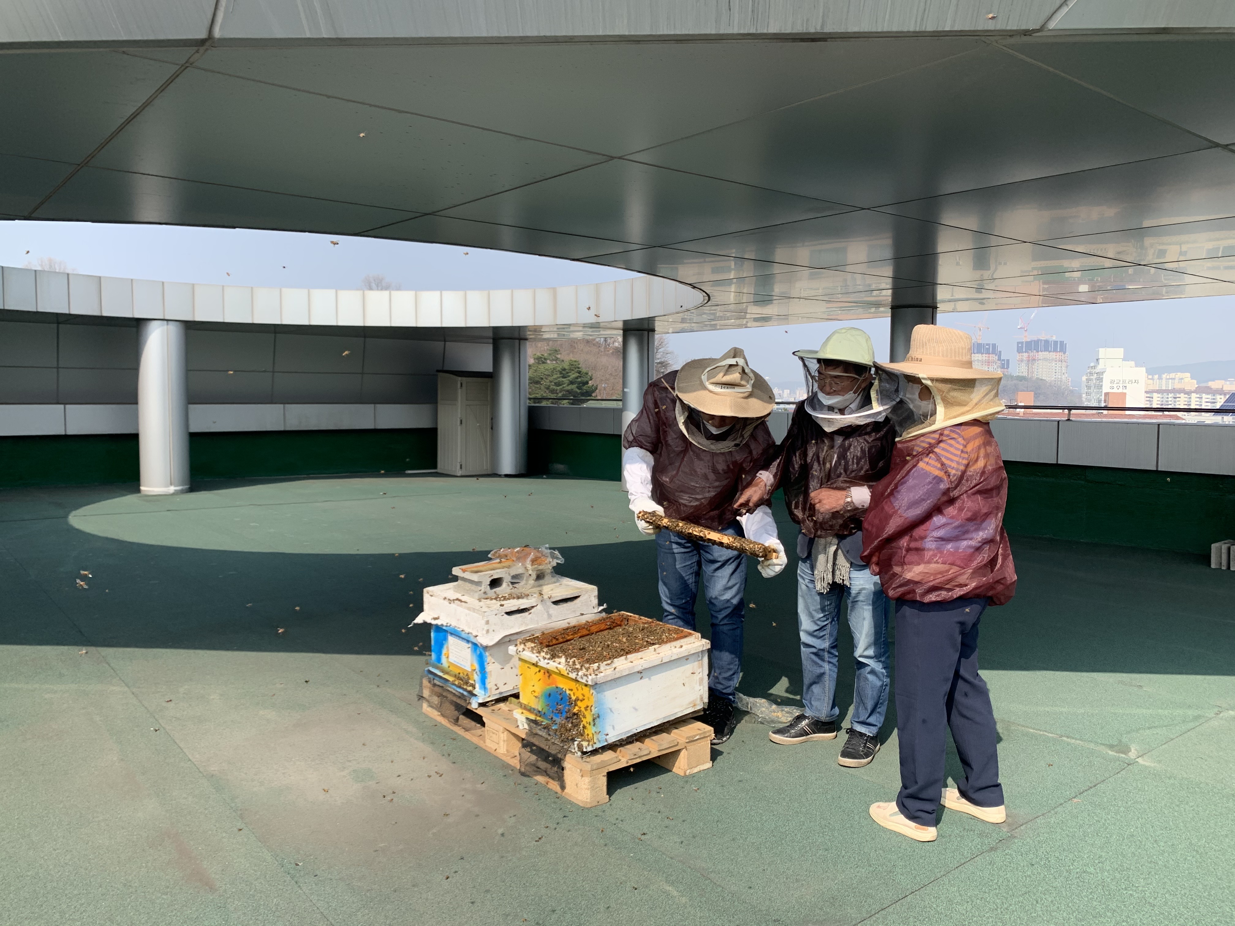 공존하는 도시양봉가 첫활동 (2021.03.25) 1번 이미지