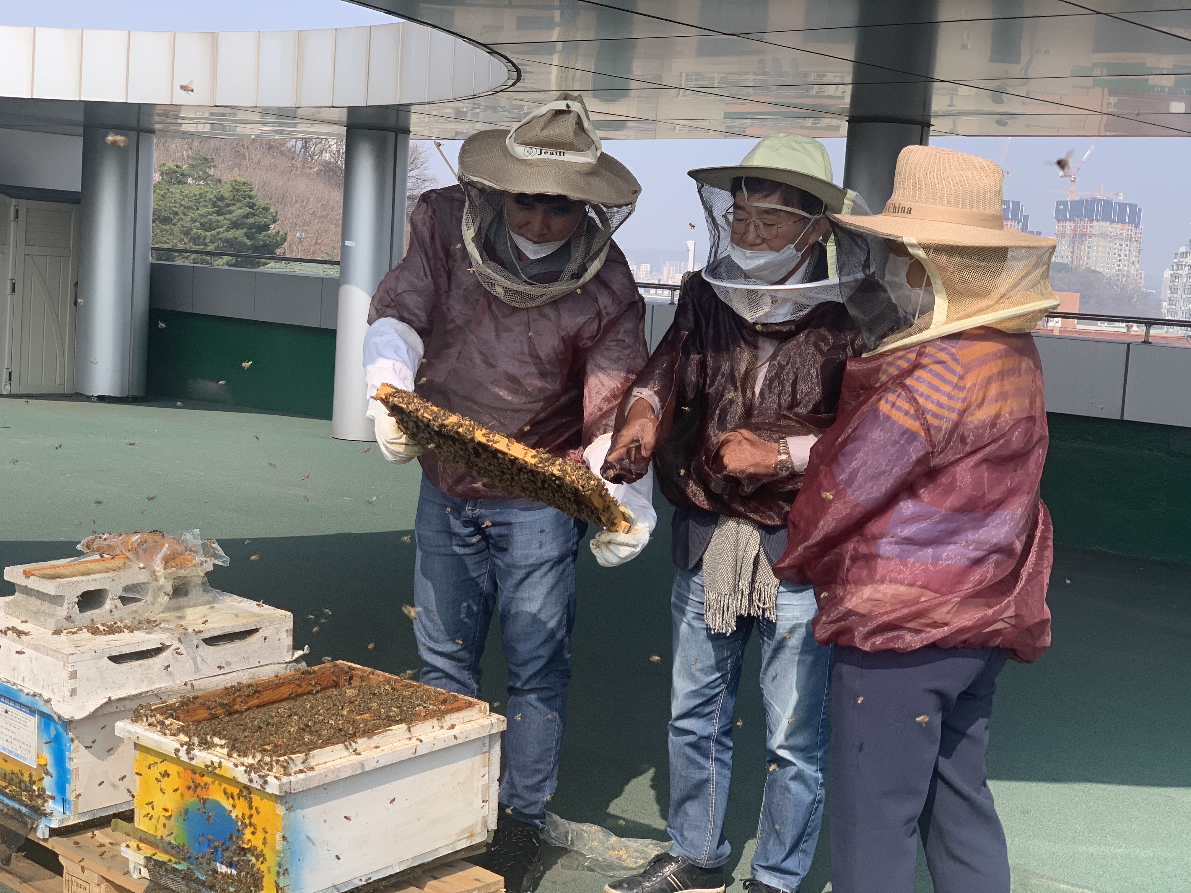 공존하는 도시양봉가 첫활동 (2021.03.25) 2번 이미지
