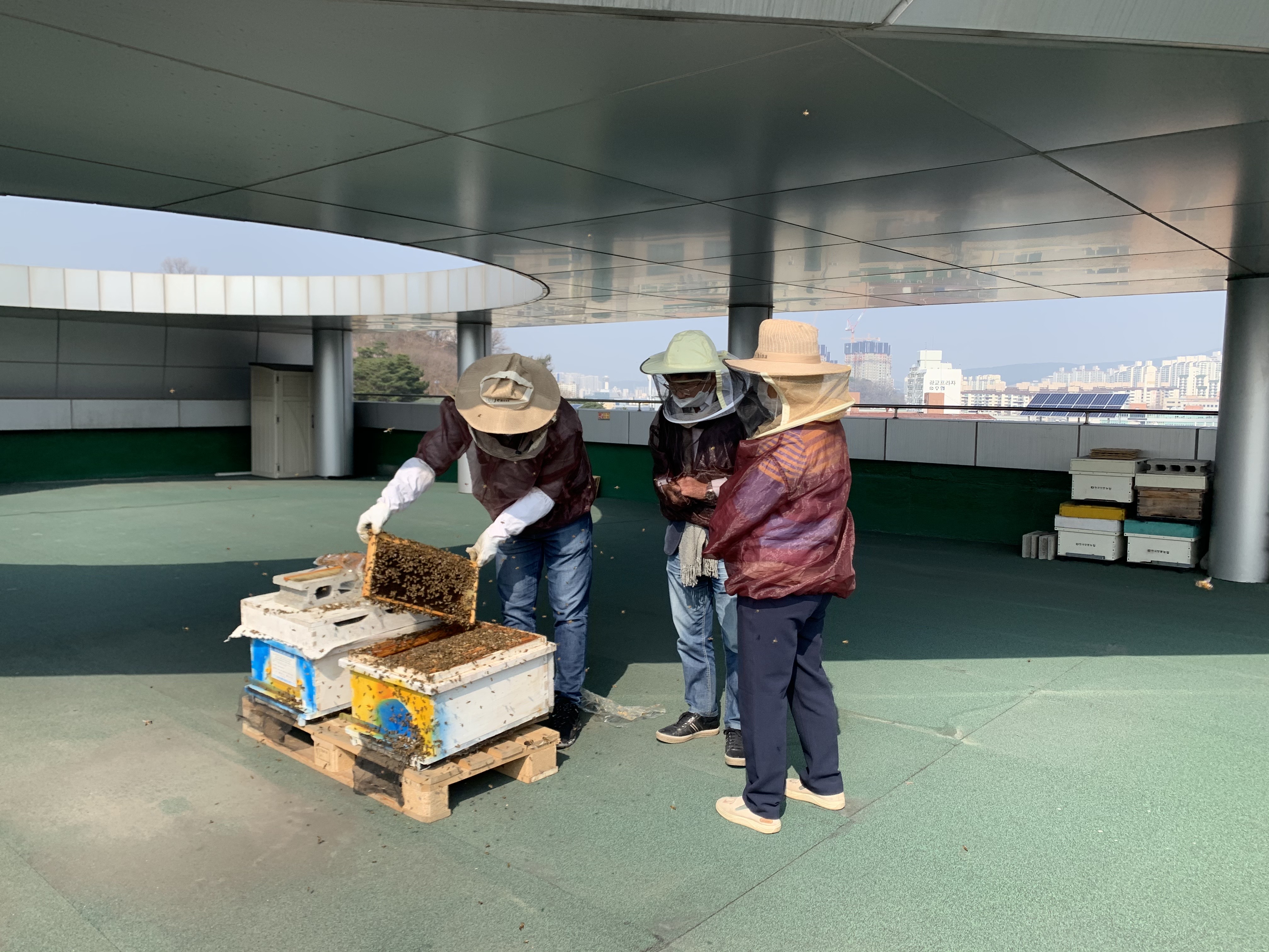 공존하는 도시양봉가 첫활동 (2021.03.25) 3번 이미지