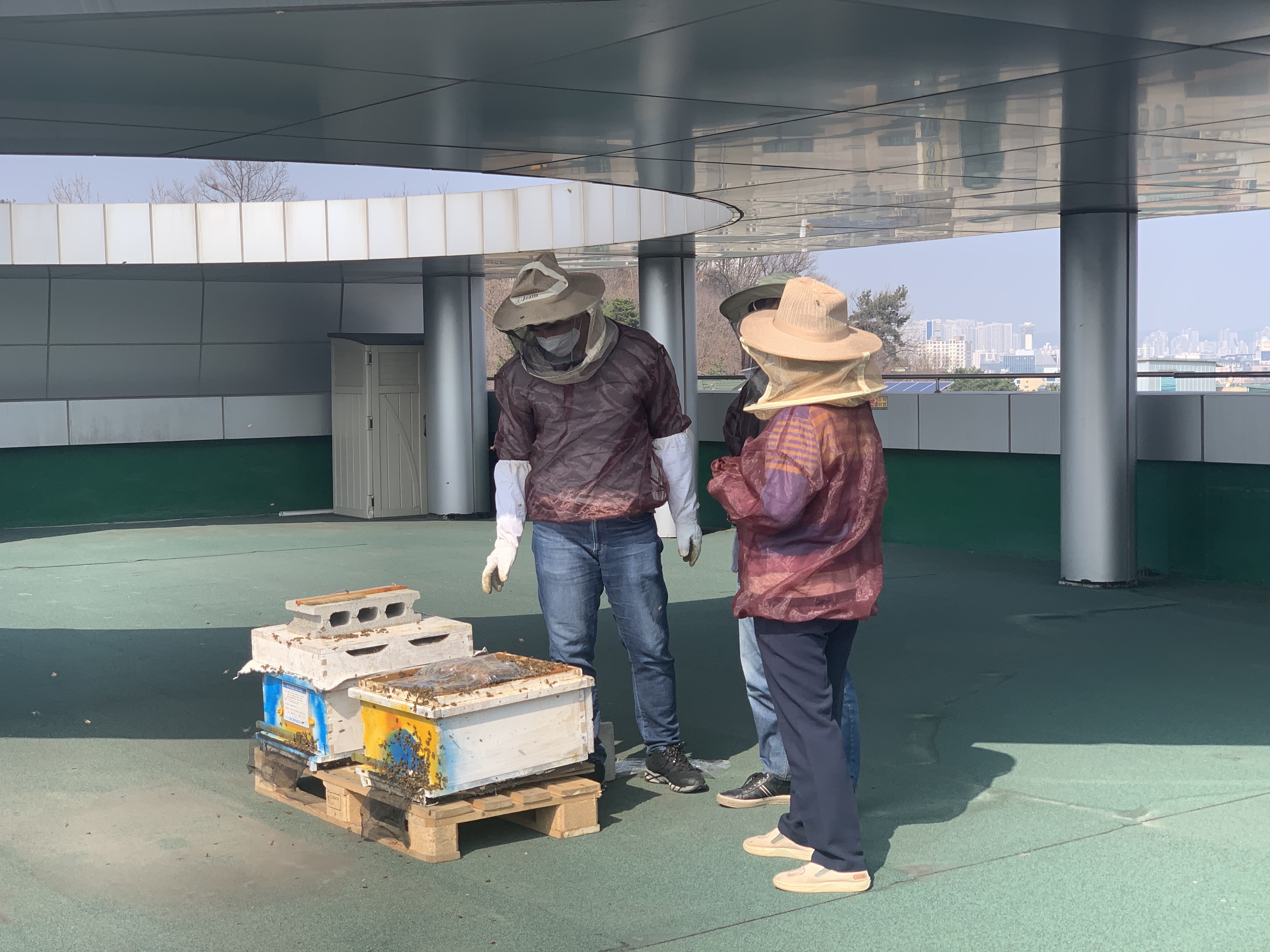 공존하는 도시양봉가 첫활동 (2021.03.25) 4번 이미지