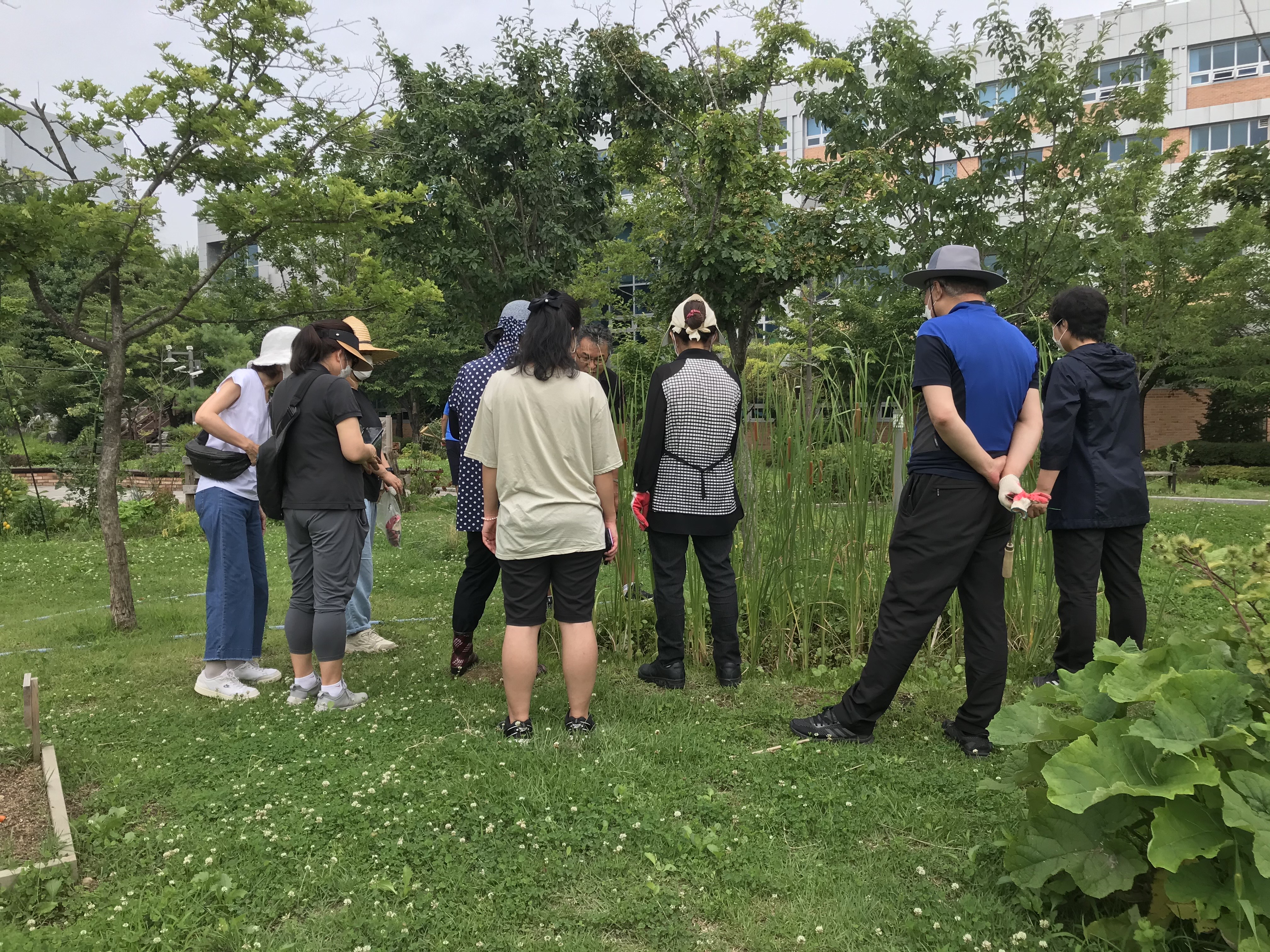 모두의숲 도시농부워크숍 : 계절을 이어가는 여름 2021 여름학기(21.7.6-7.20) 메인 이미지