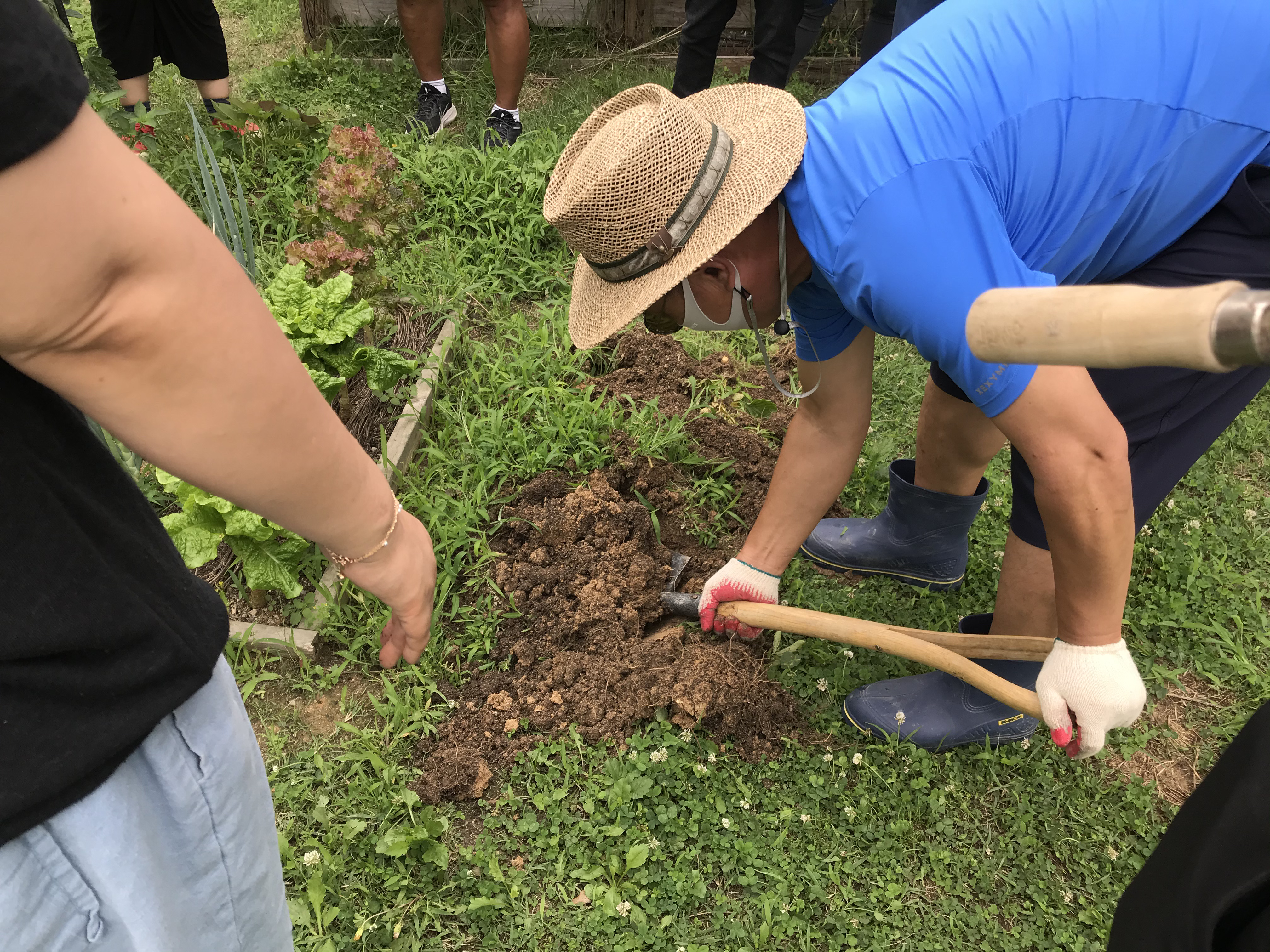 모두의숲 도시농부워크숍 : 계절을 이어가는 여름 2021 여름학기(21.7.6-7.20) 1번 이미지