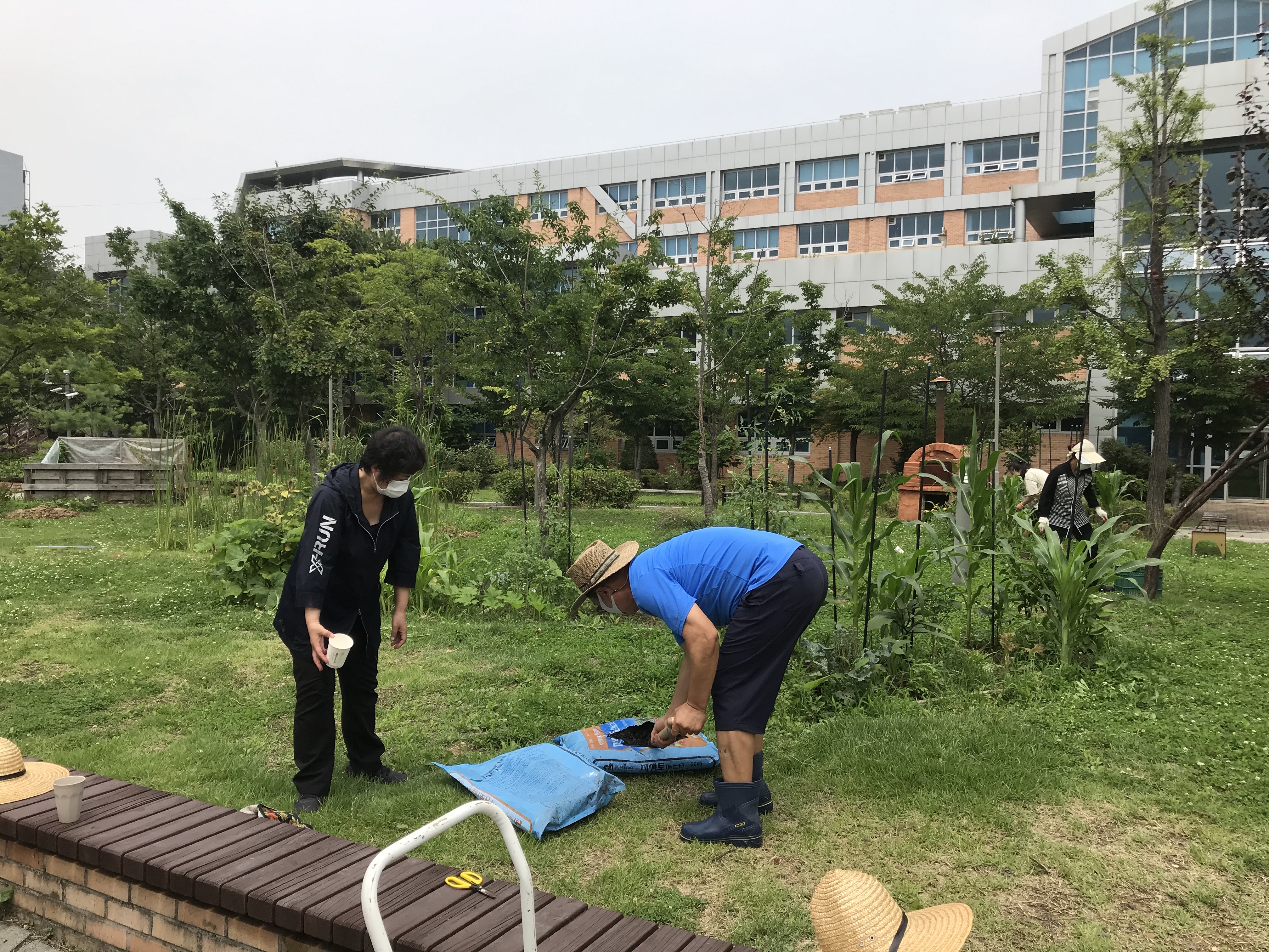 모두의숲 도시농부워크숍 : 계절을 이어가는 여름 2021 여름학기(21.7.6-7.20) 2번 이미지