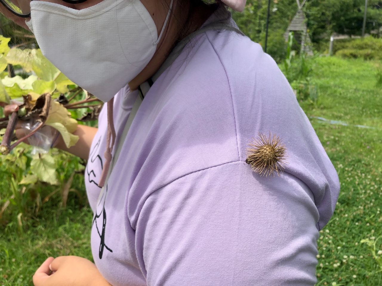 모두의숲 도시농부워크숍 : 계절을 이어가는 여름 2021 여름학기(21.7.6-7.20) 3번 이미지