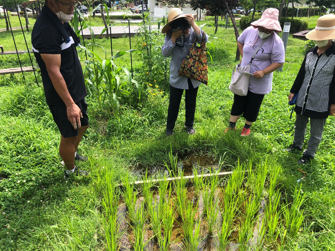 모두의숲 도시농부워크숍 : 계절을 이어가는 여름 2021 여름학기(21.7.6-7.20) 4번 이미지