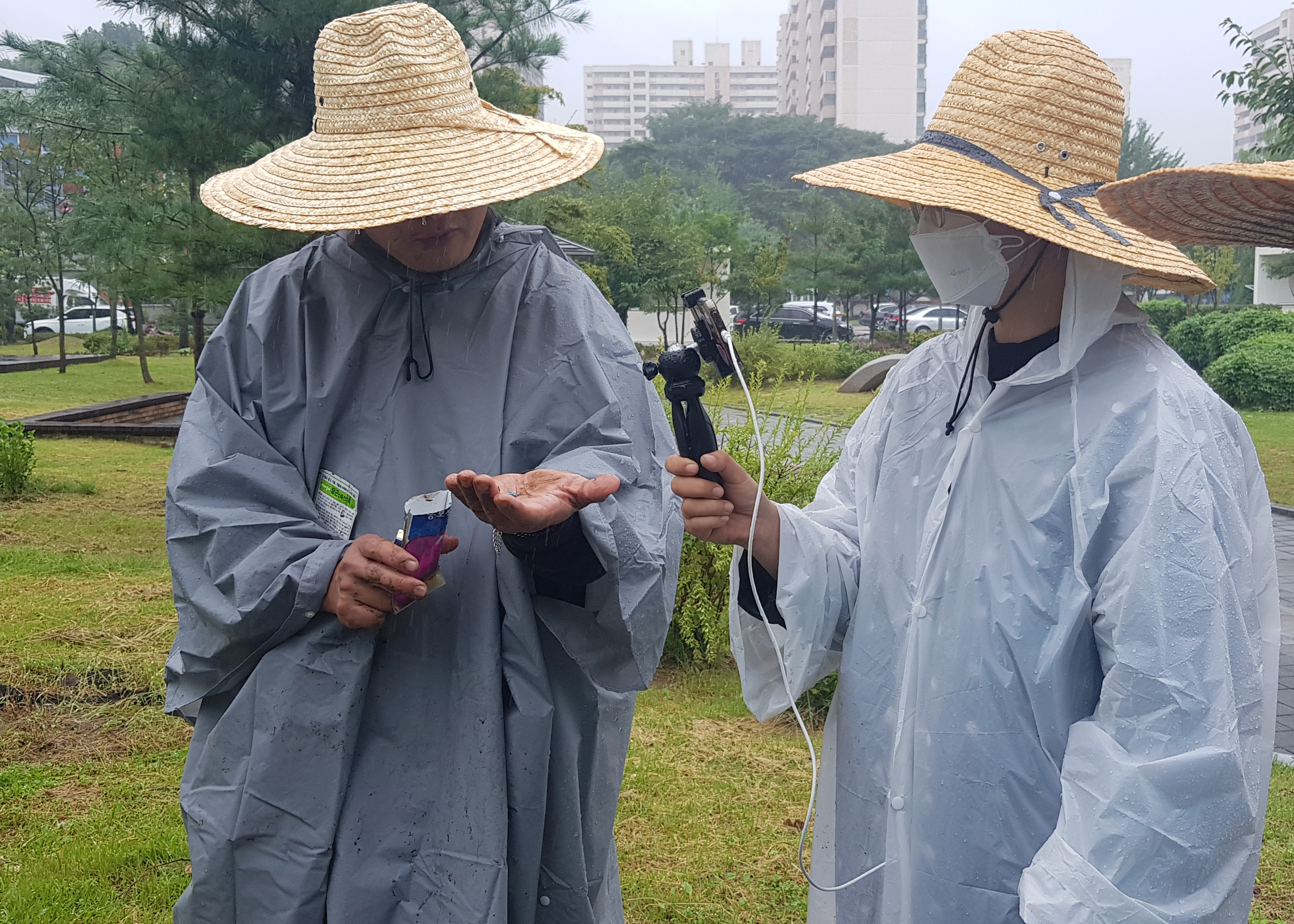 모두의숲 도시농부워크숍 : 텃밭의 가을과 겨울 1회차(2021.09.07) 메인 이미지