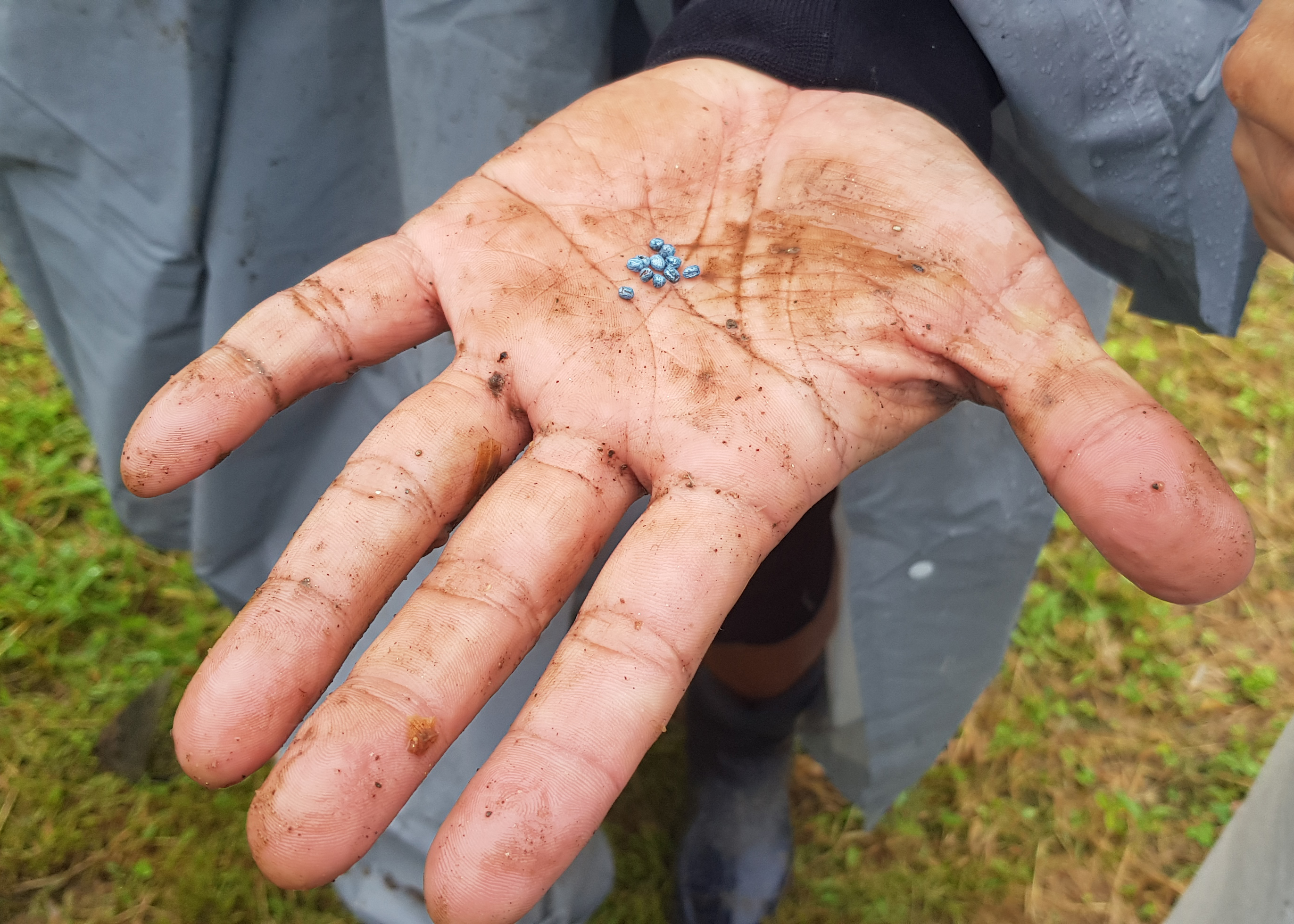 모두의숲 도시농부워크숍 : 텃밭의 가을과 겨울 1회차(2021.09.07) 1번 이미지