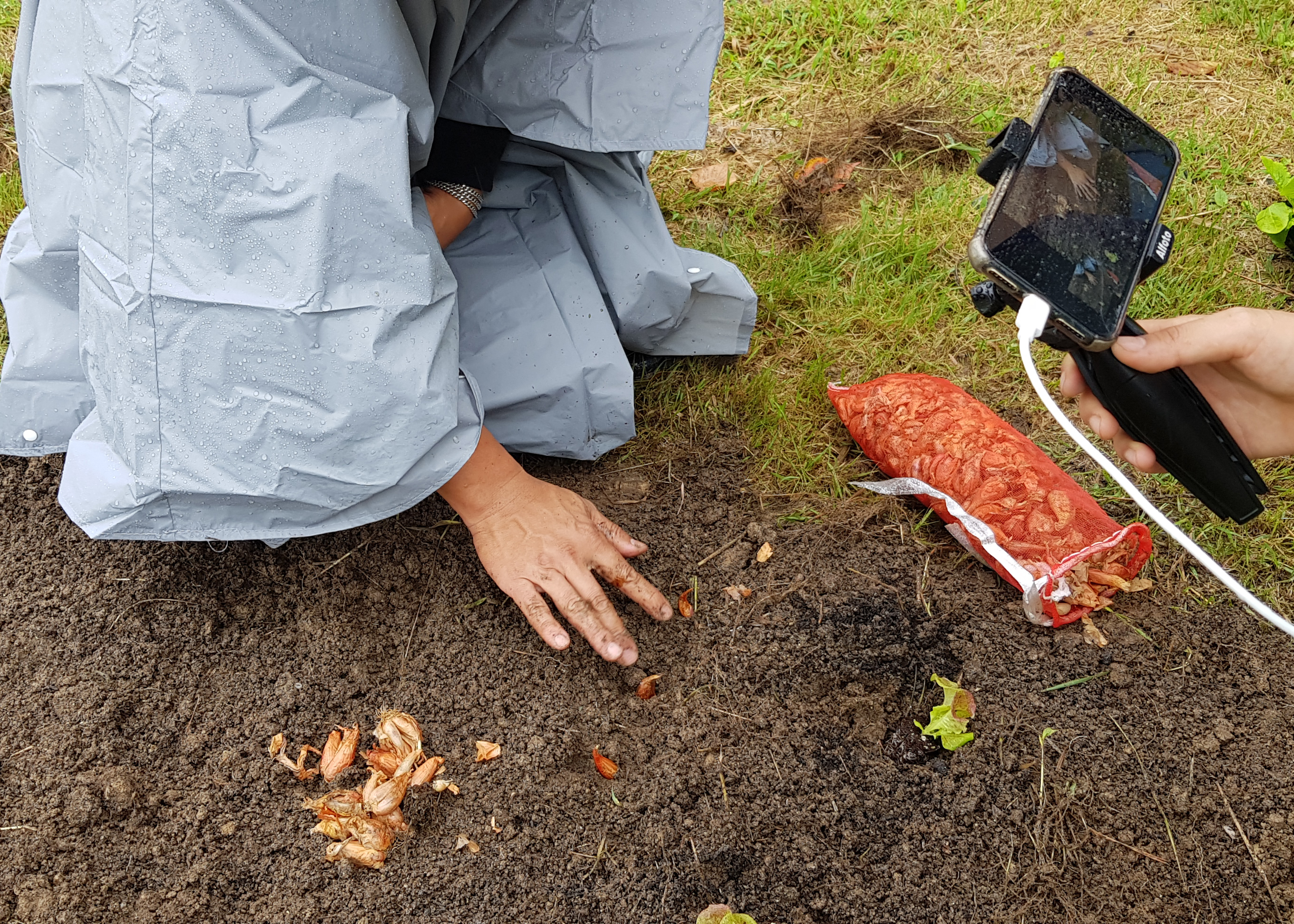 모두의숲 도시농부워크숍 : 텃밭의 가을과 겨울 1회차(2021.09.07) 3번 이미지