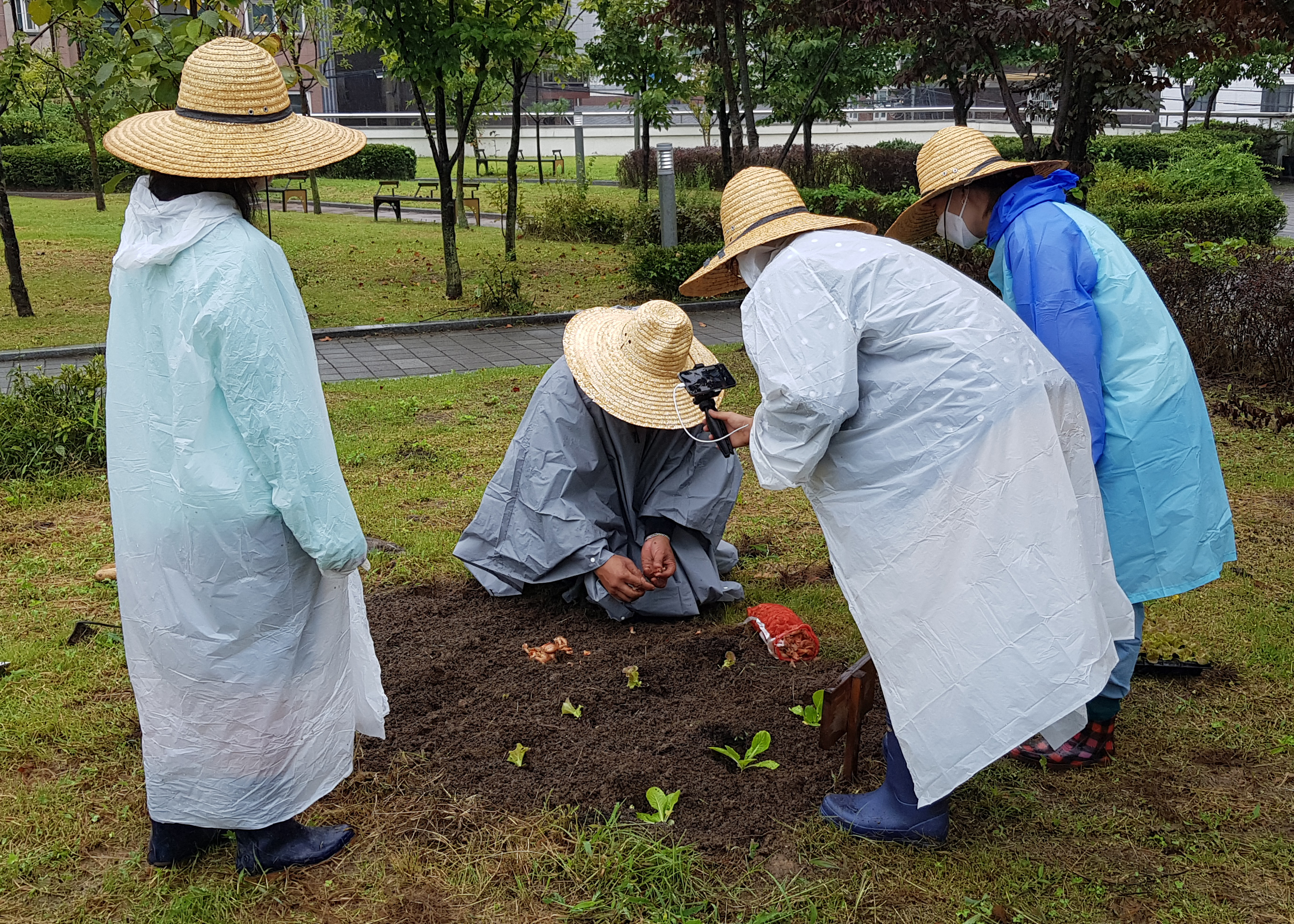 모두의숲 도시농부워크숍 : 텃밭의 가을과 겨울 1회차(2021.09.07) 2번 이미지
