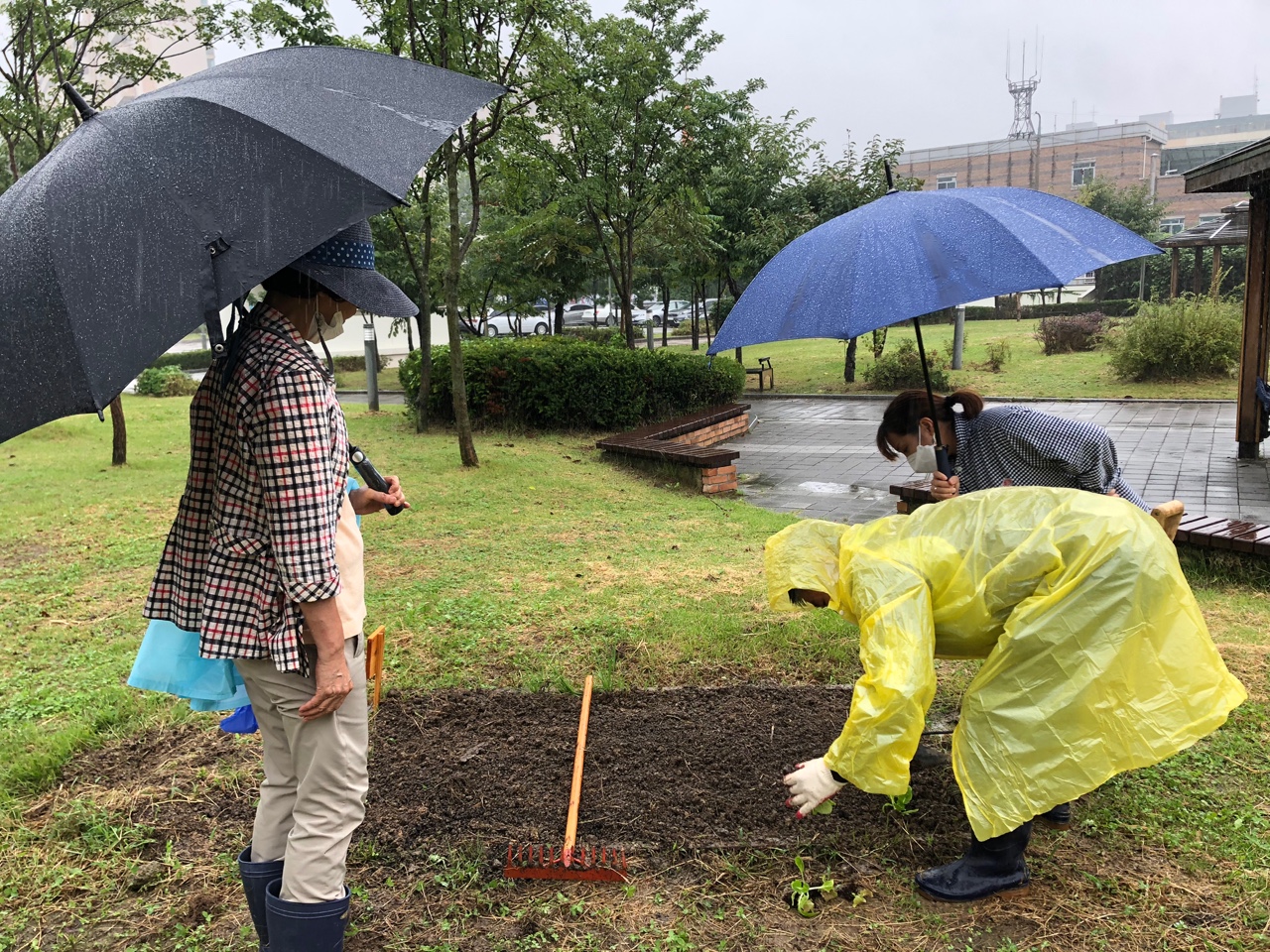 모두의숲 도시농부워크숍 : 텃밭의 가을과 겨울 1회차(2021.09.07) 4번 이미지