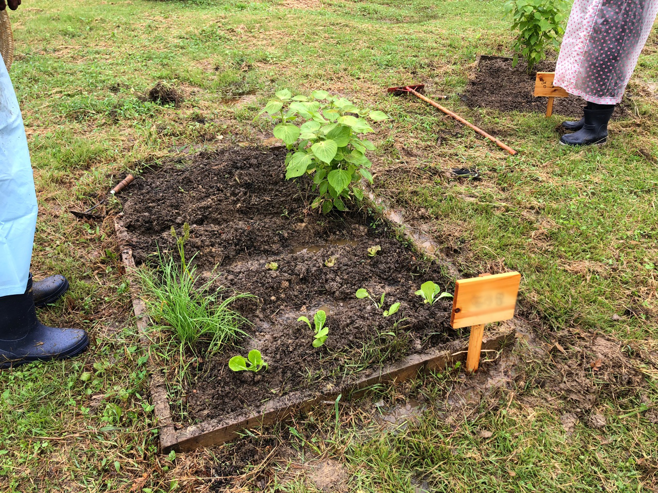 모두의숲 도시농부워크숍 : 텃밭의 가을과 겨울 1회차(2021.09.07) 5번 이미지