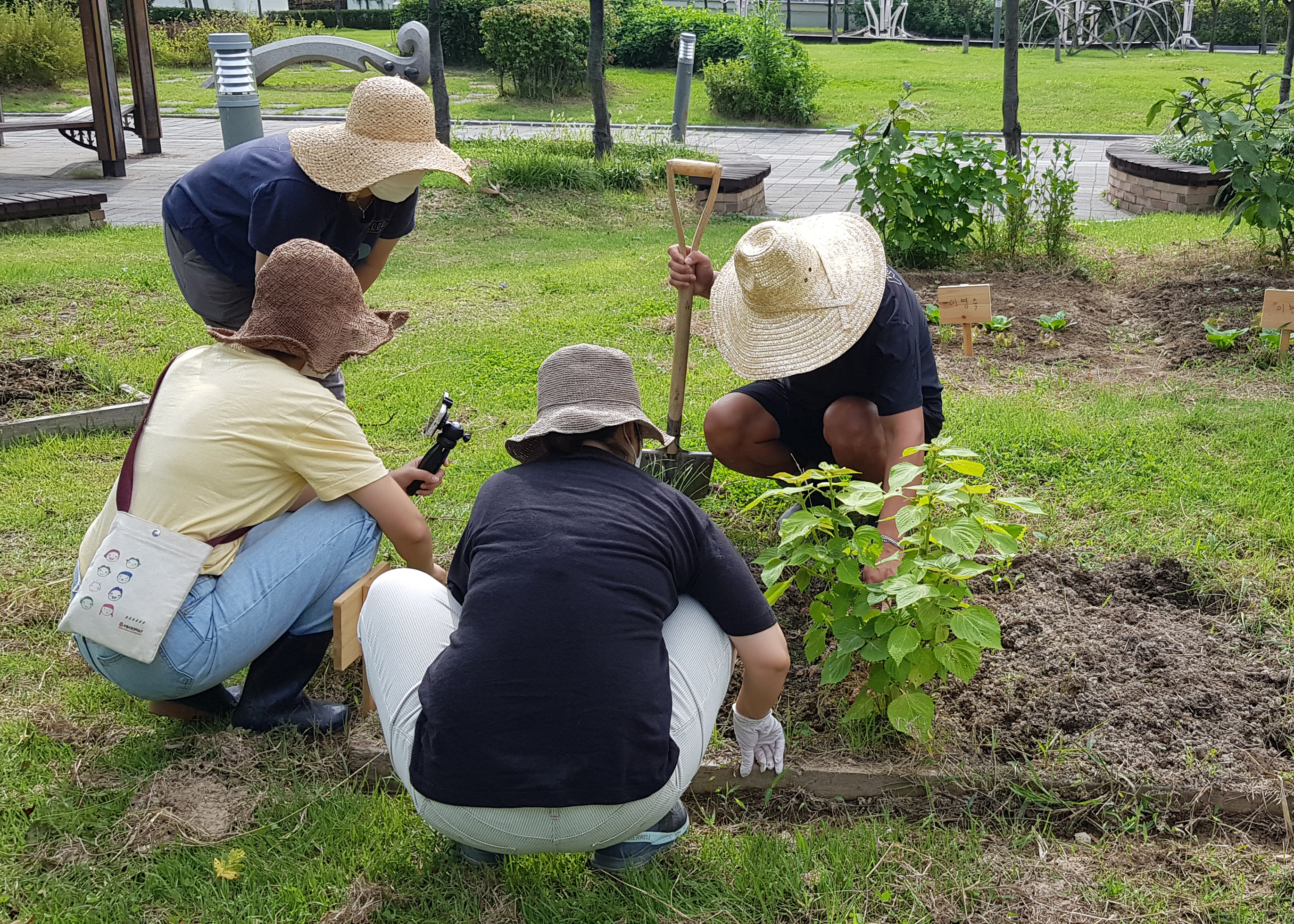 모두의숲 도시농부워크숍 : 텃밭의 가을과 겨울 2회차(2021.09.14) 메인 이미지