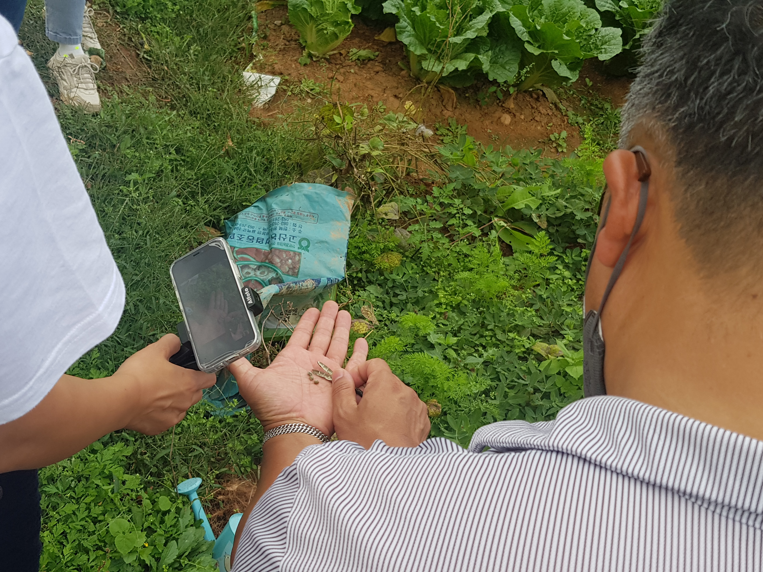 모두의숲 도시농부워크숍 : 텃밭의 가을과 겨울 4회차(2021.10.05.) 메인 이미지