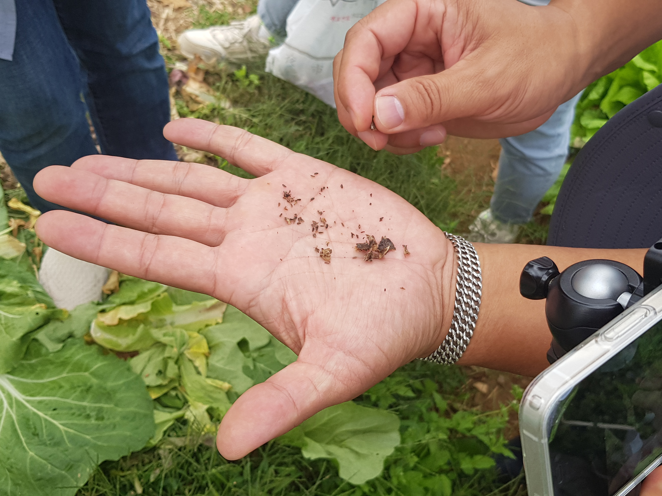 모두의숲 도시농부워크숍 : 텃밭의 가을과 겨울 4회차(2021.10.05.) 4번 이미지
