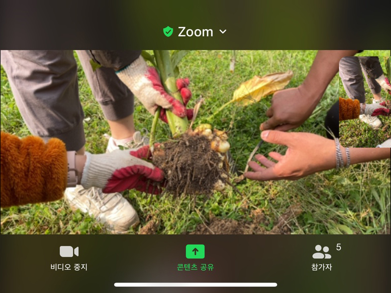 모두의숲 도시농부워크숍 : 텃밭의 가을과 겨울 6회차(2021.10.19.) 메인 이미지