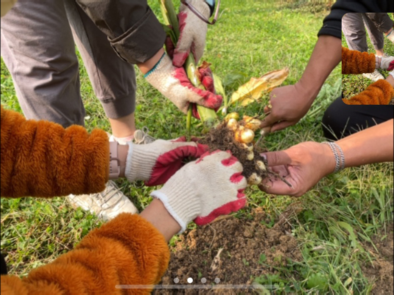 모두의숲 도시농부워크숍 : 텃밭의 가을과 겨울 6회차(2021.10.19.) 1번 이미지