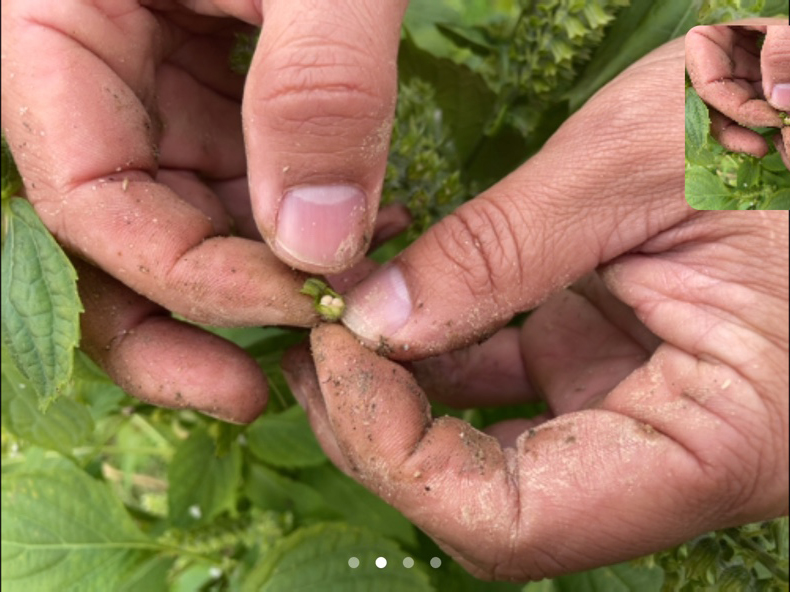 모두의숲 도시농부워크숍 : 텃밭의 가을과 겨울 6회차(2021.10.19.) 2번 이미지