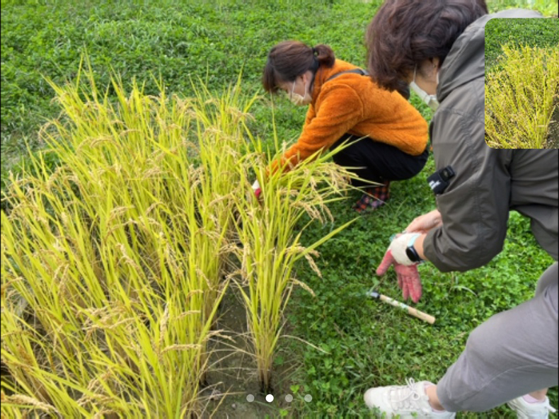 모두의숲 도시농부워크숍 : 텃밭의 가을과 겨울 6회차(2021.10.19.) 3번 이미지