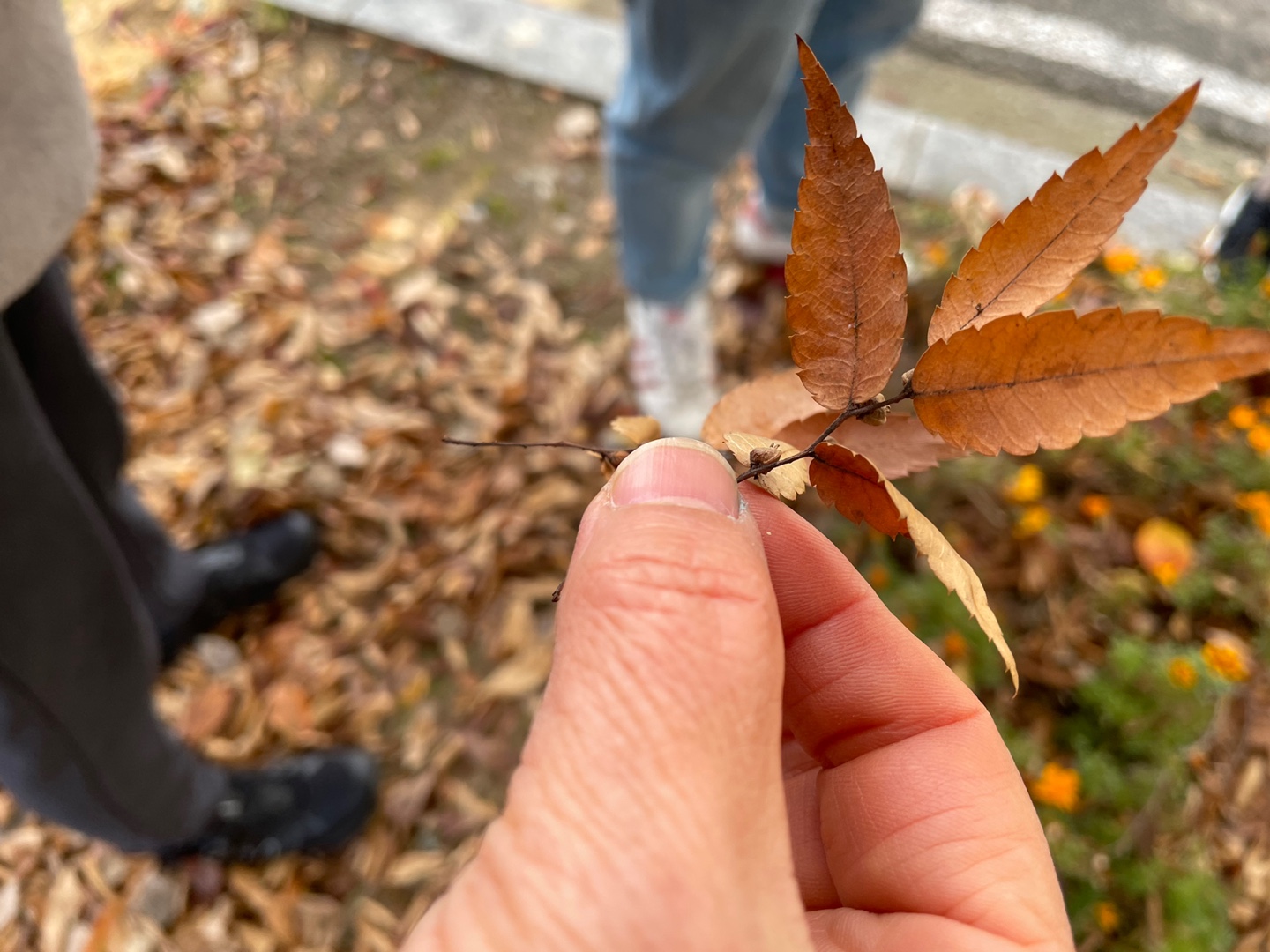 모두의숲 자연에서 놀기:생태드로잉을 통한 감각 깨우기 1번 이미지