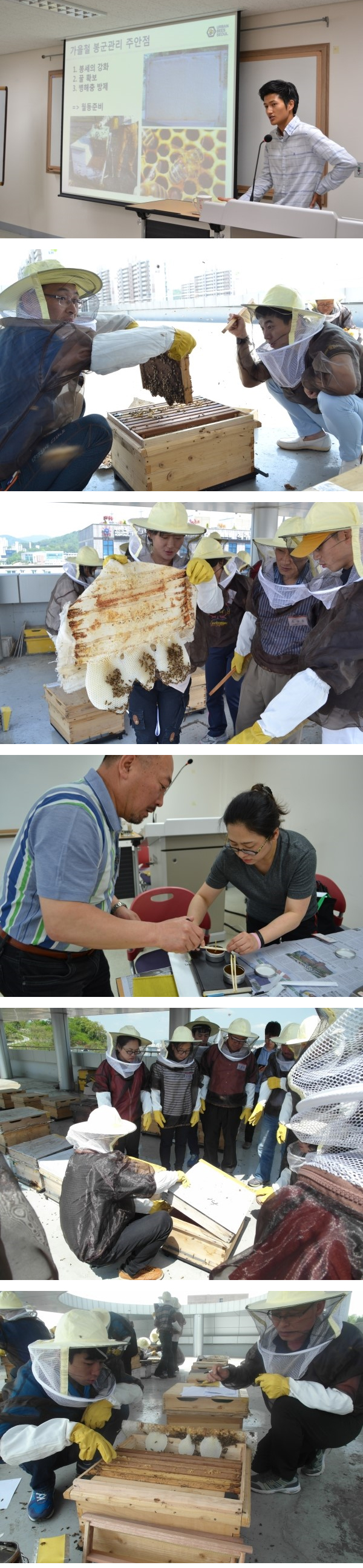 [The 느린삶] Bee Happy 도시양봉가 되기 2기 1번 이미지