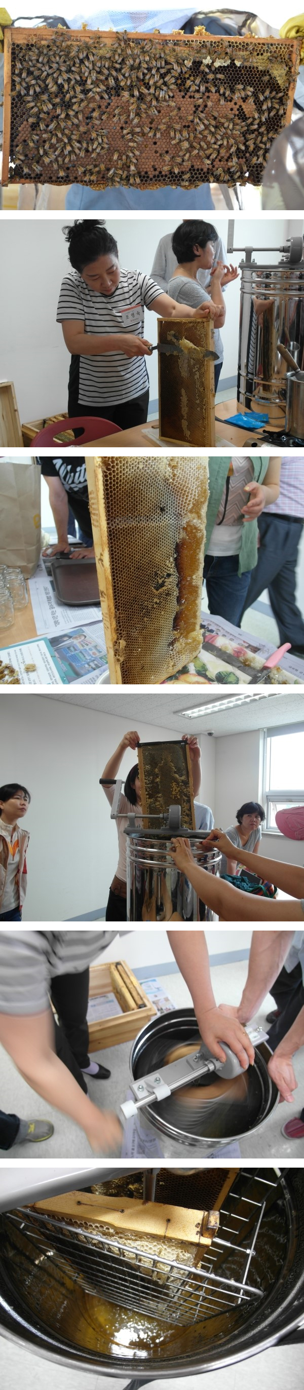 [The 느린삶] Bee Happy 도시양봉가 되기 2기 3번 이미지