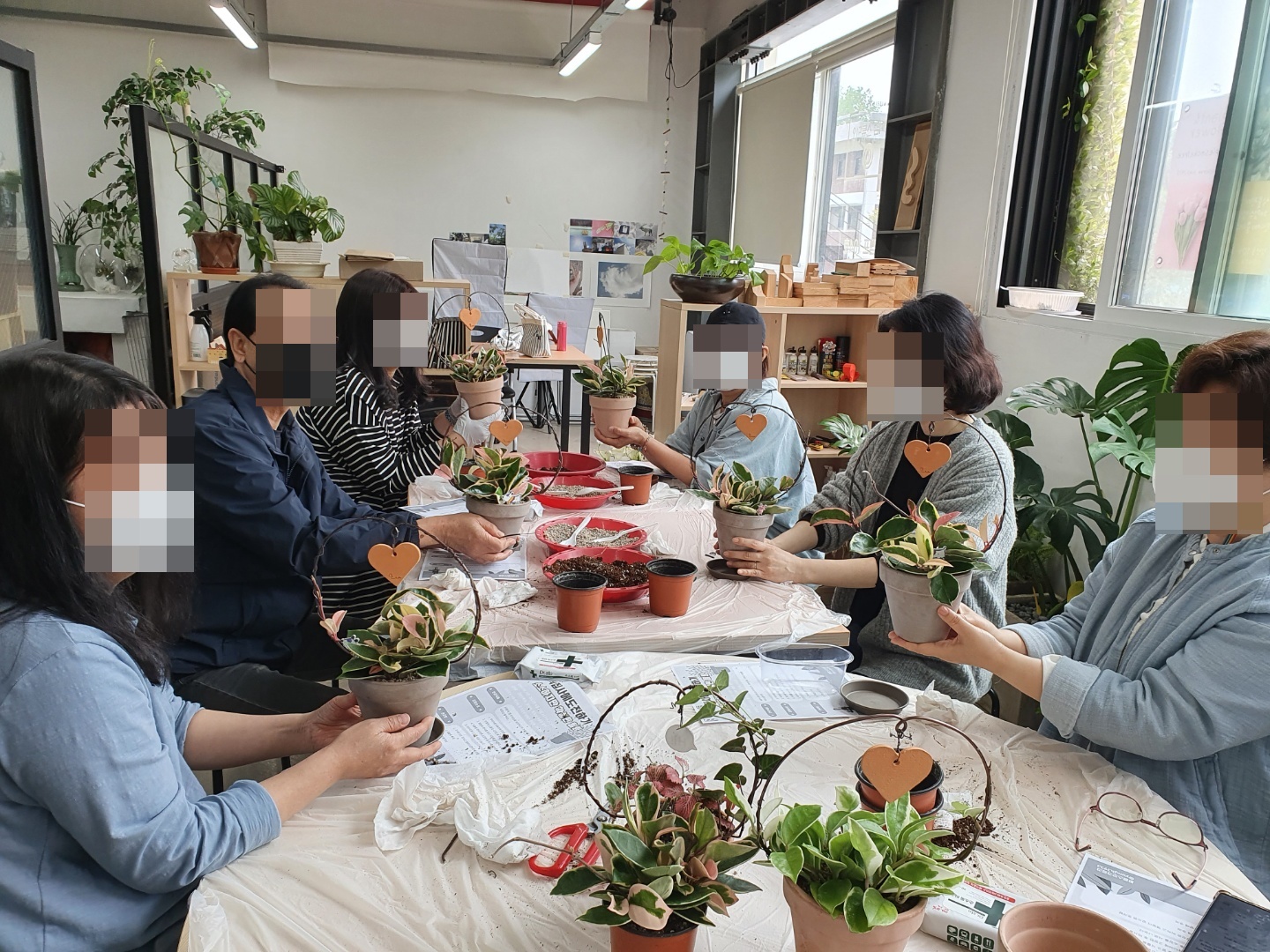 [누구나학교] 식집사에 도전하기!(소소하지만 확실한 힐링2탄) 메인 이미지