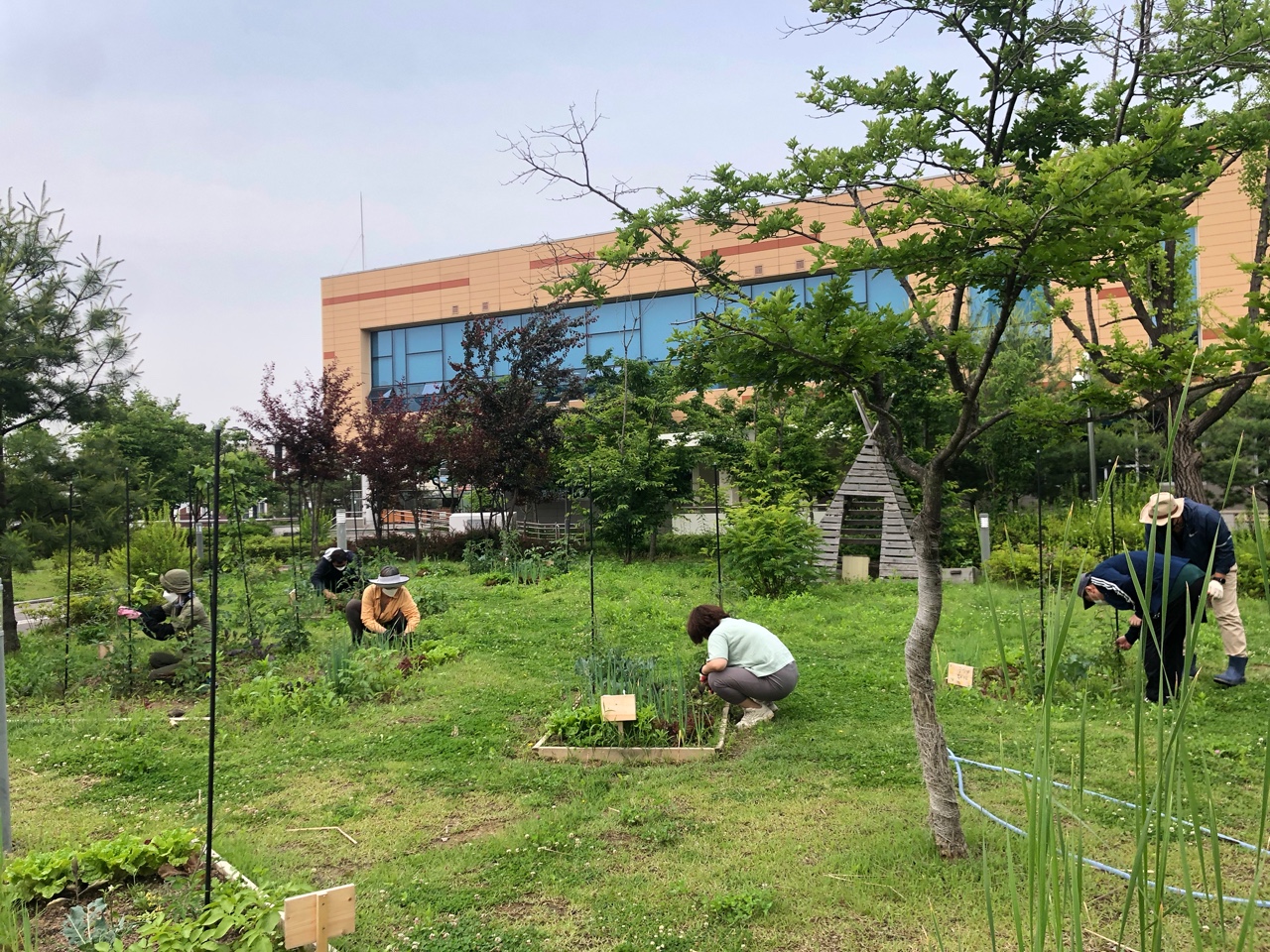 모두의숲 도시농부워크숍 : 텃밭러의 봄과 여름 2021 1학기(21.6.1-6.15)